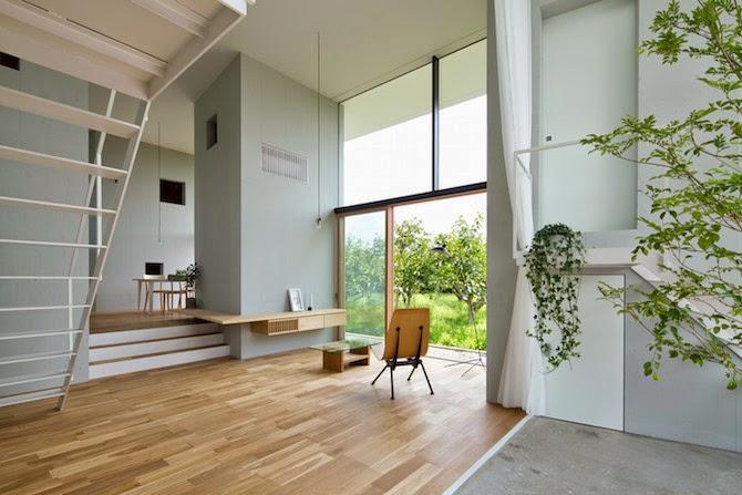 Japon / Un arbre dans la maison /