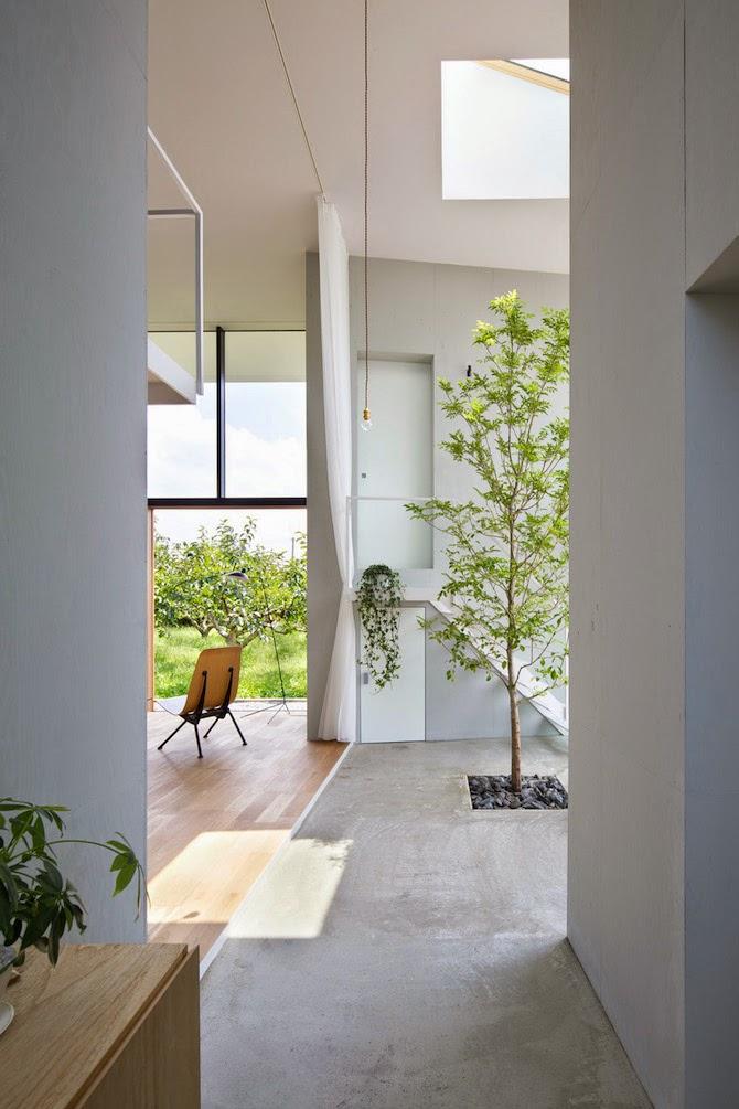 Japon / Un arbre dans la maison /