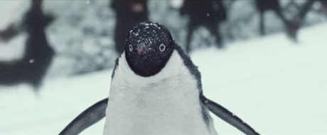 pingouin john lewis