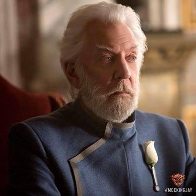 Bande annonce et Photos de Hunger Games La Révolte Partie 1