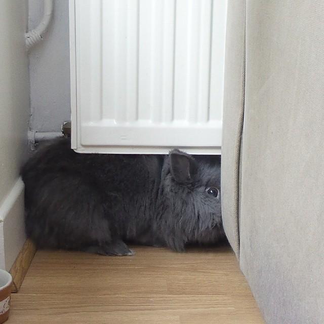 {Lifestyle} Mes p’tits bonheurs