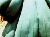 Citation jour, bonjour