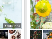 passions épinglées {... comment suis devenue adepte Pinterest