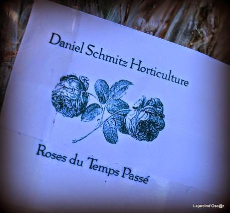 Mes petits Australiens ☺...