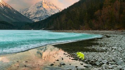 Les aventures de Léon Camay - 61