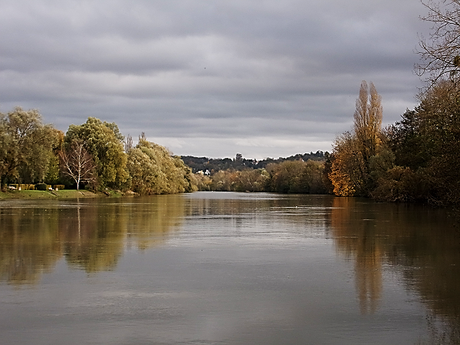 La marne fleuve, arbres