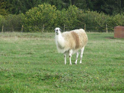 voilà les environs de cette Auberge