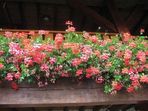 voilà les environs de cette Auberge