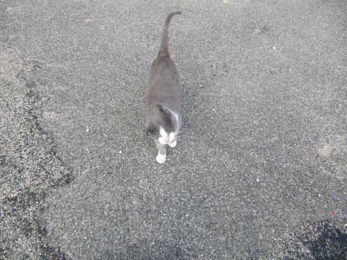 Moi aussi je veux être sur une photo