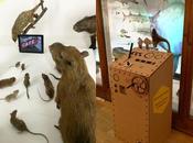 Museomix Museum d’Histoire Naturelle