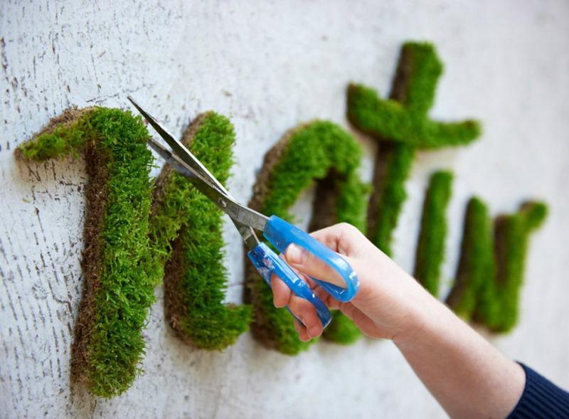 Moss-Graffiti-Moss-Natur