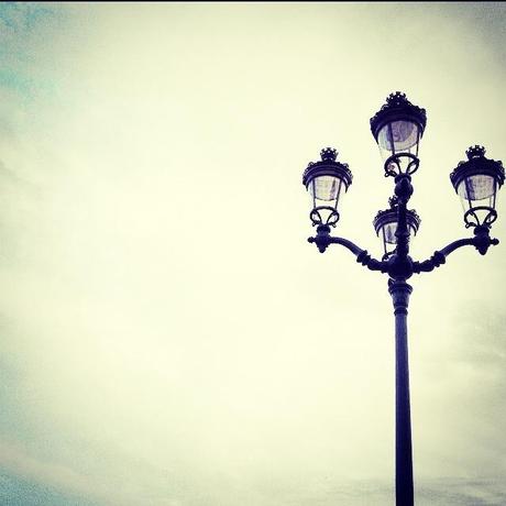 Nouveau Safari-photo : (Dans l'ordre :