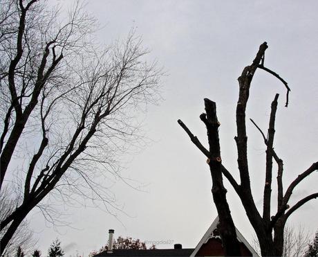 Petit coin du ciel #5 anteketborka.blogspot.com, ciel 33