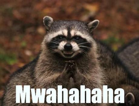 evil racoon mwah ah ah ah