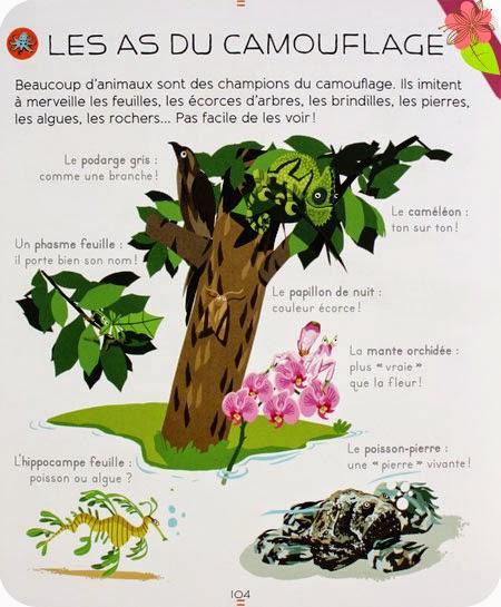 L’encyclopédie Larousse des animaux - Sylvie Bézuel