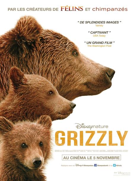 Grizzly, le piège de l’anthropomorphisme