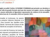 Vous avez couleurs Catherine STARKMAN Villa Béatrix ENEA ANGLET-64- Novembre Janvier 2015