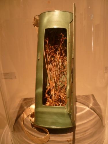 culture,histoire,université,montpellier,du savoir à la lumière