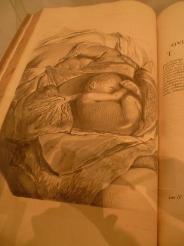 culture,histoire,université,montpellier,du savoir à la lumière