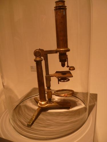 culture,histoire,université,montpellier,du savoir à la lumière