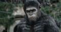 thumbs la planete des singes l affrontement 2 La Planète des singes : laffrontement en DVD & Blu ray [Concours Inside]