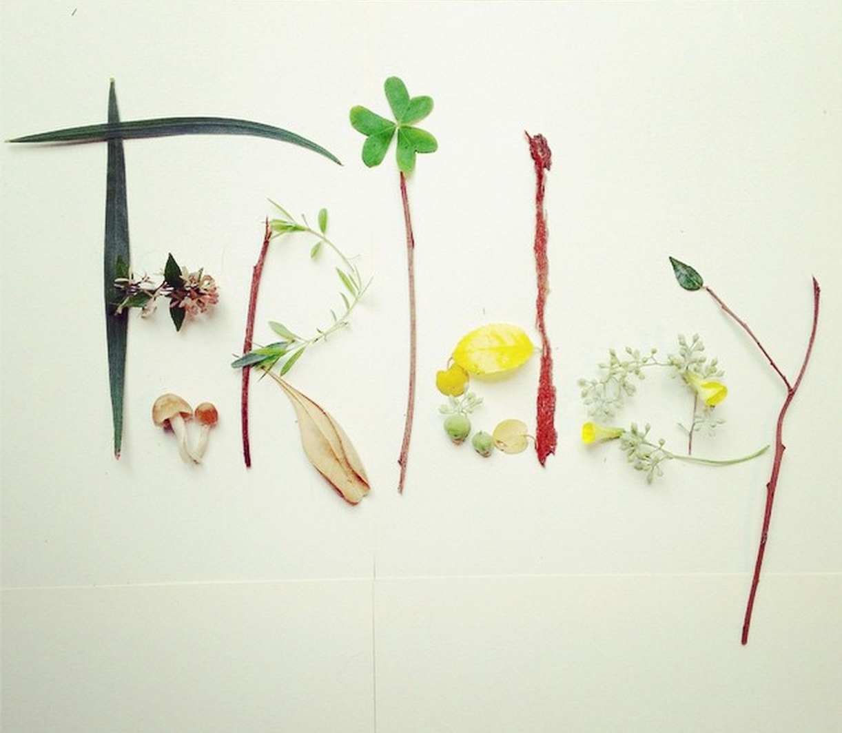 At home with instagram