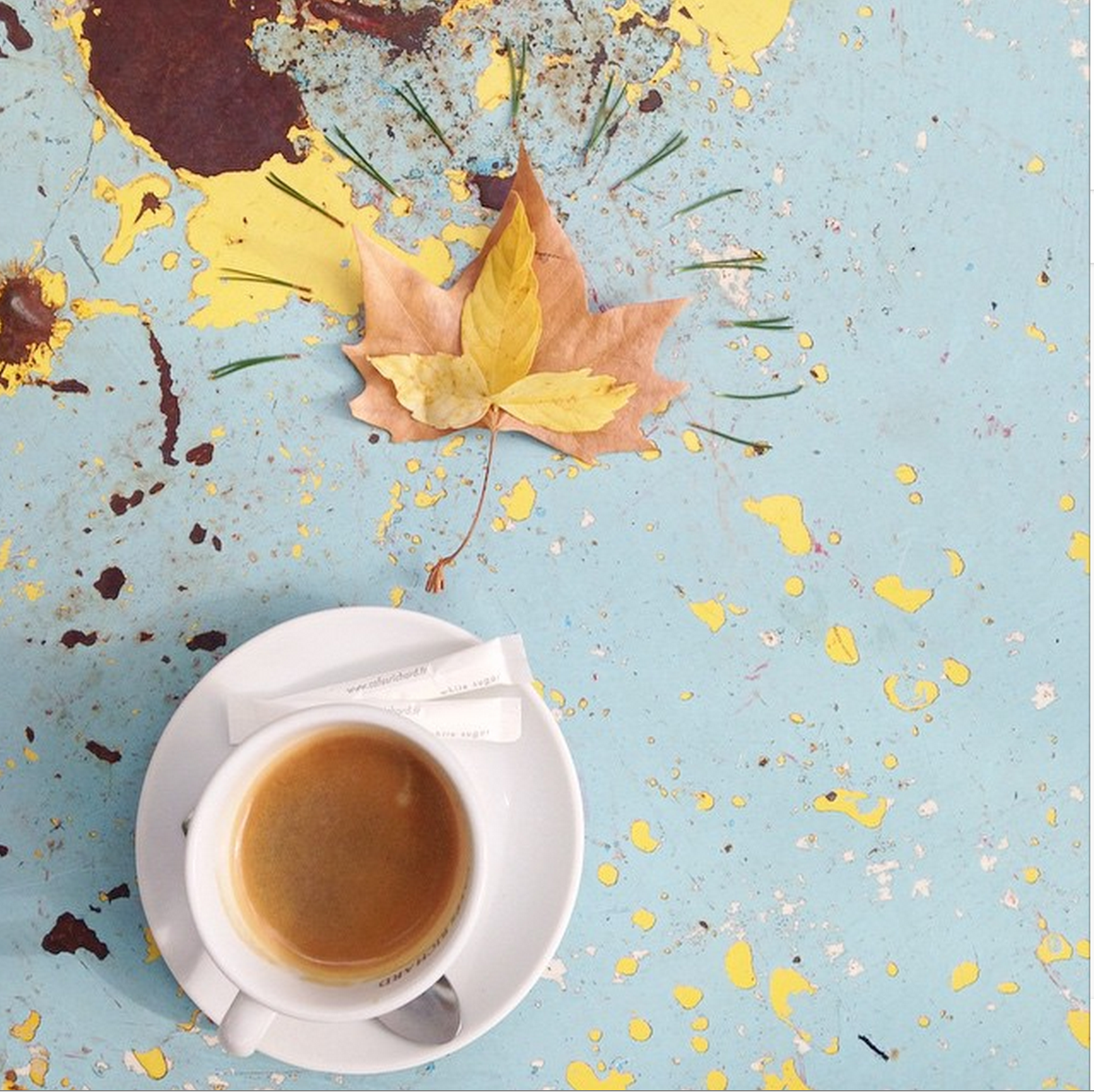 At home with instagram