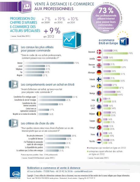 B2B - chiffre-cles-ecommerce-2013-fevad