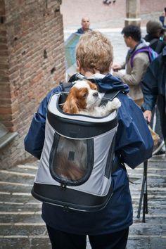 Multi-functional-pet-carrier-pet-backpacks-dog-sac-a-dos-chien-mogwaii (35)