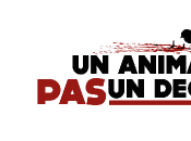 Pétition Stop broyage poussins