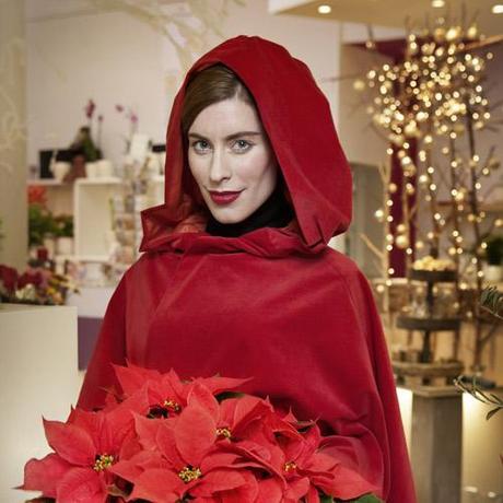 STARS FOR EUROPE : Pour fêter l’étoile de Noël le 12 décembre en France, fleuristes, jardineries et producteurs-détaillants ont instauré la journée nationale du Poinsettia