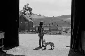Blonde et Idiote Bassesse Inoubliable********************Harvest de Neil Young