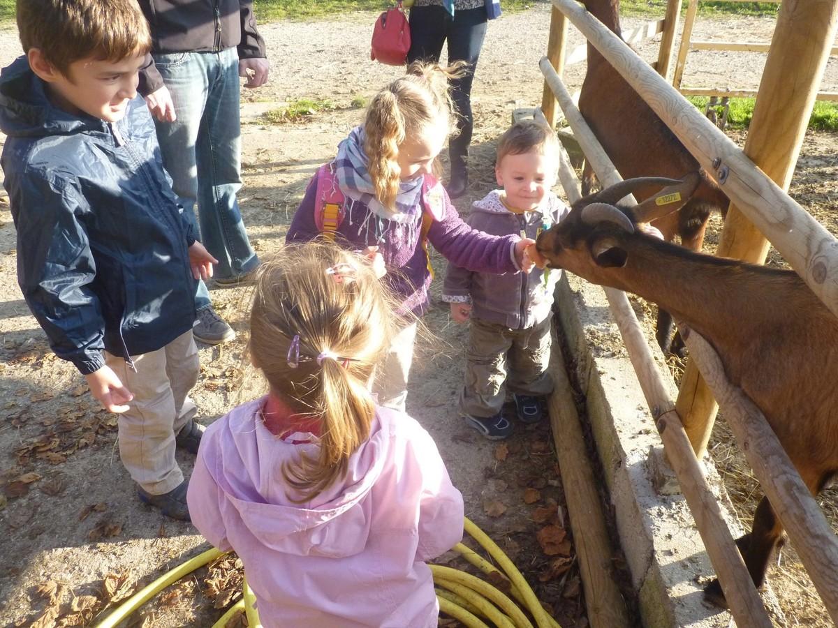 Vacances de la Toussaint 2014