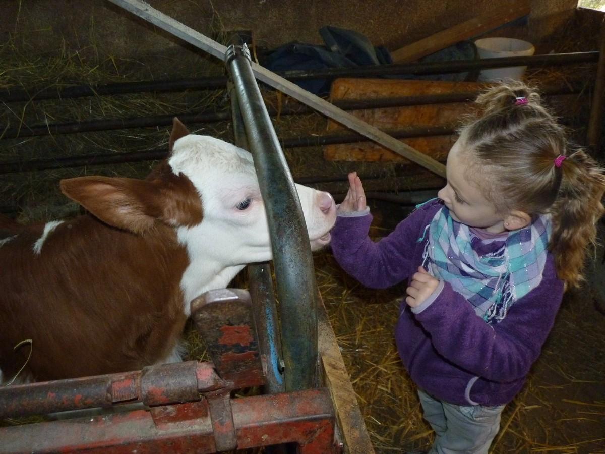 Vacances de la Toussaint 2014