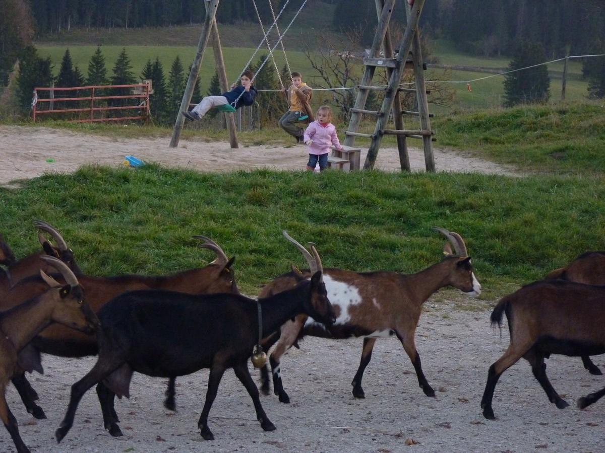 Vacances de la Toussaint 2014