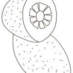 dessin de kiwi