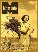  Monsanto : l’histoire complète de la société la plus diabolique