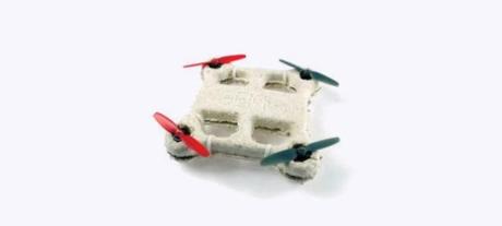 bio-drone