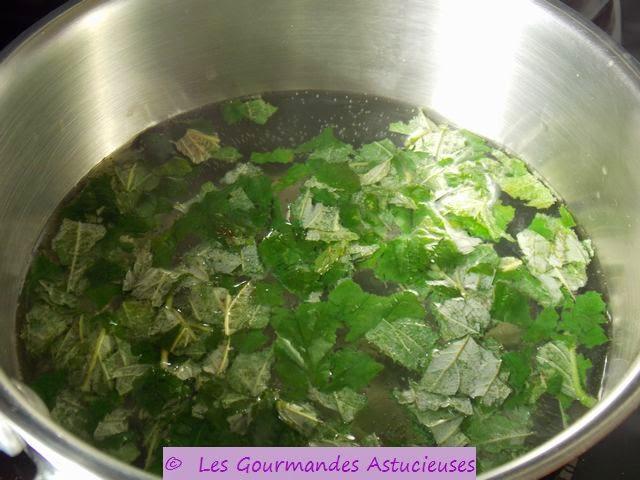Des Framboises et une infusion de feuilles de framboisier fraîche en Novembre !