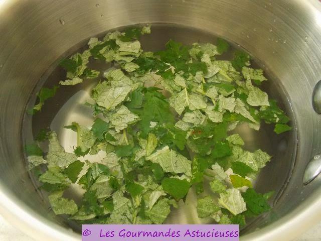 Des Framboises et une infusion de feuilles de framboisier fraîche en Novembre !