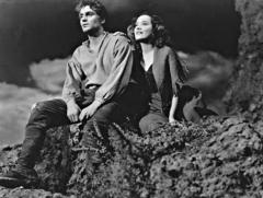 littérature; roman; morceaux choisis; livres