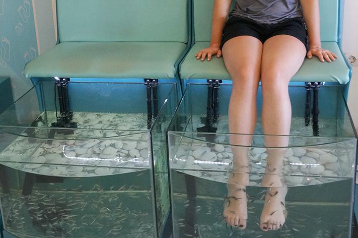 Fish pédicure spa test avis