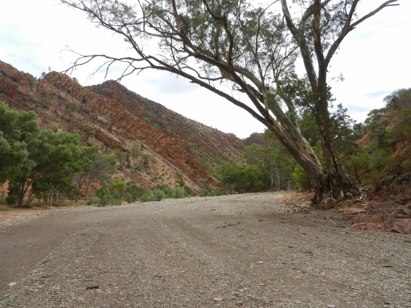 Un petit gout d'Australie contre un petit bout de paradis.