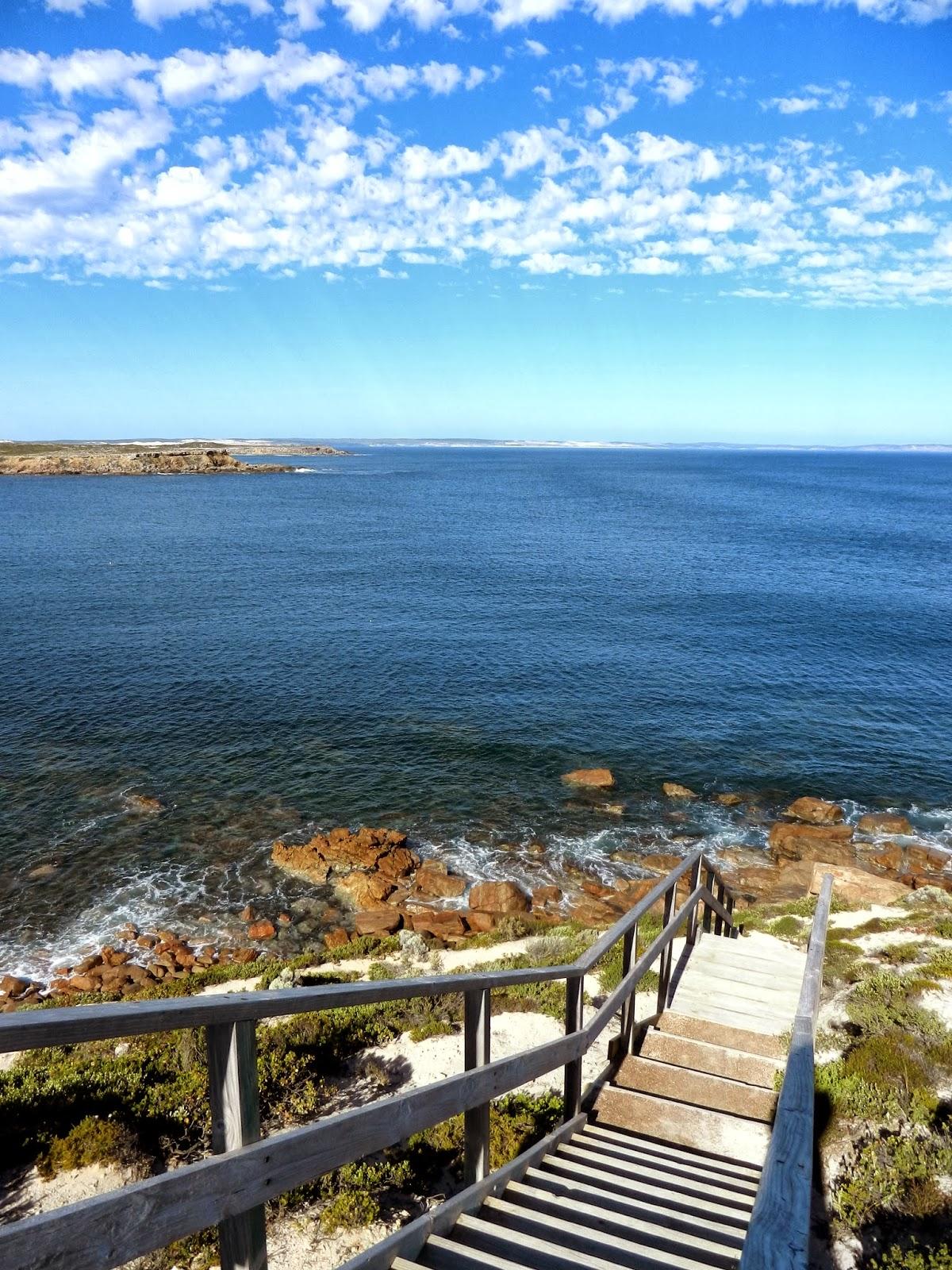 Un petit gout d'Australie contre un petit bout de paradis.
