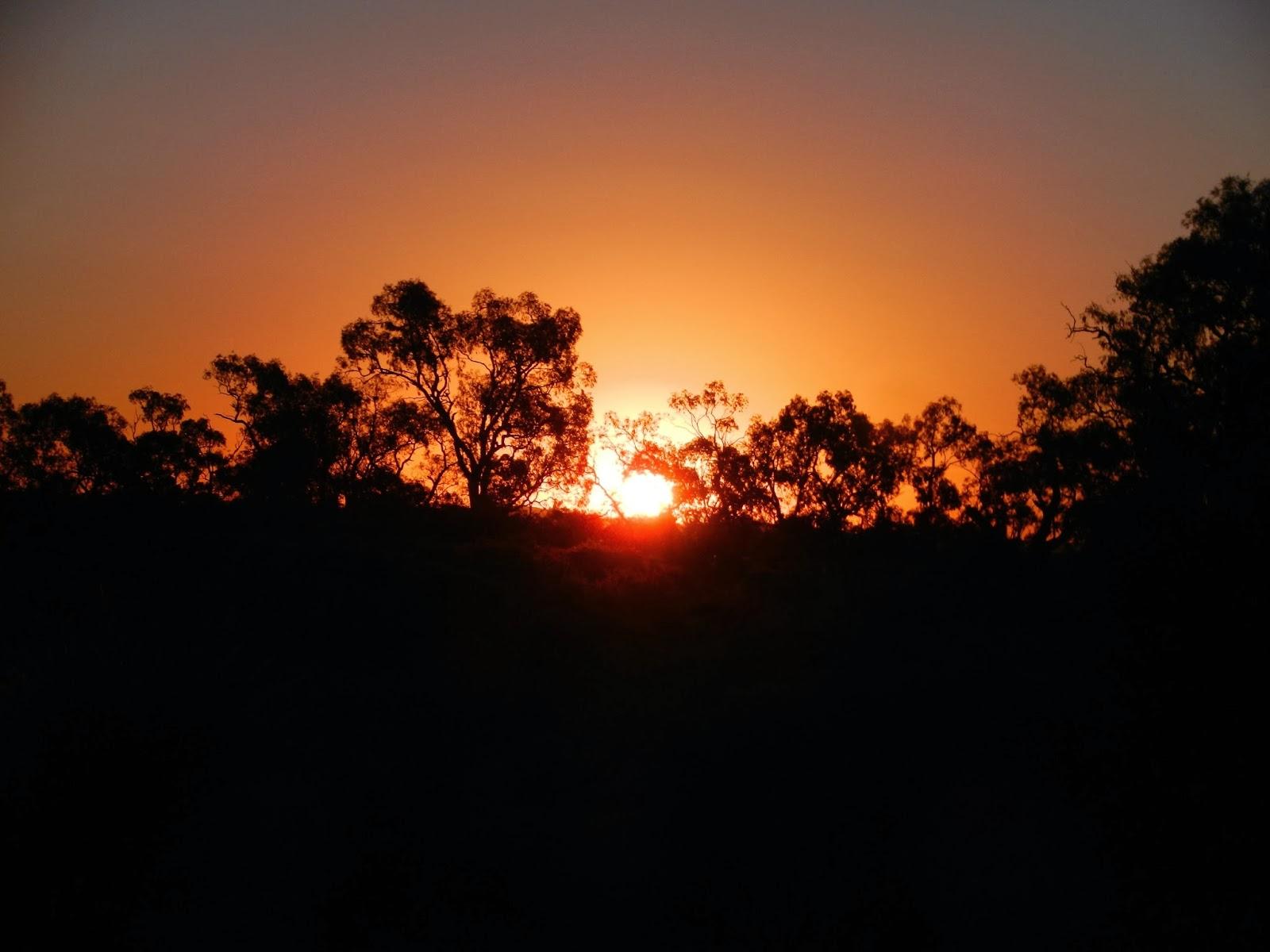Un petit gout d'Australie contre un petit bout de paradis.