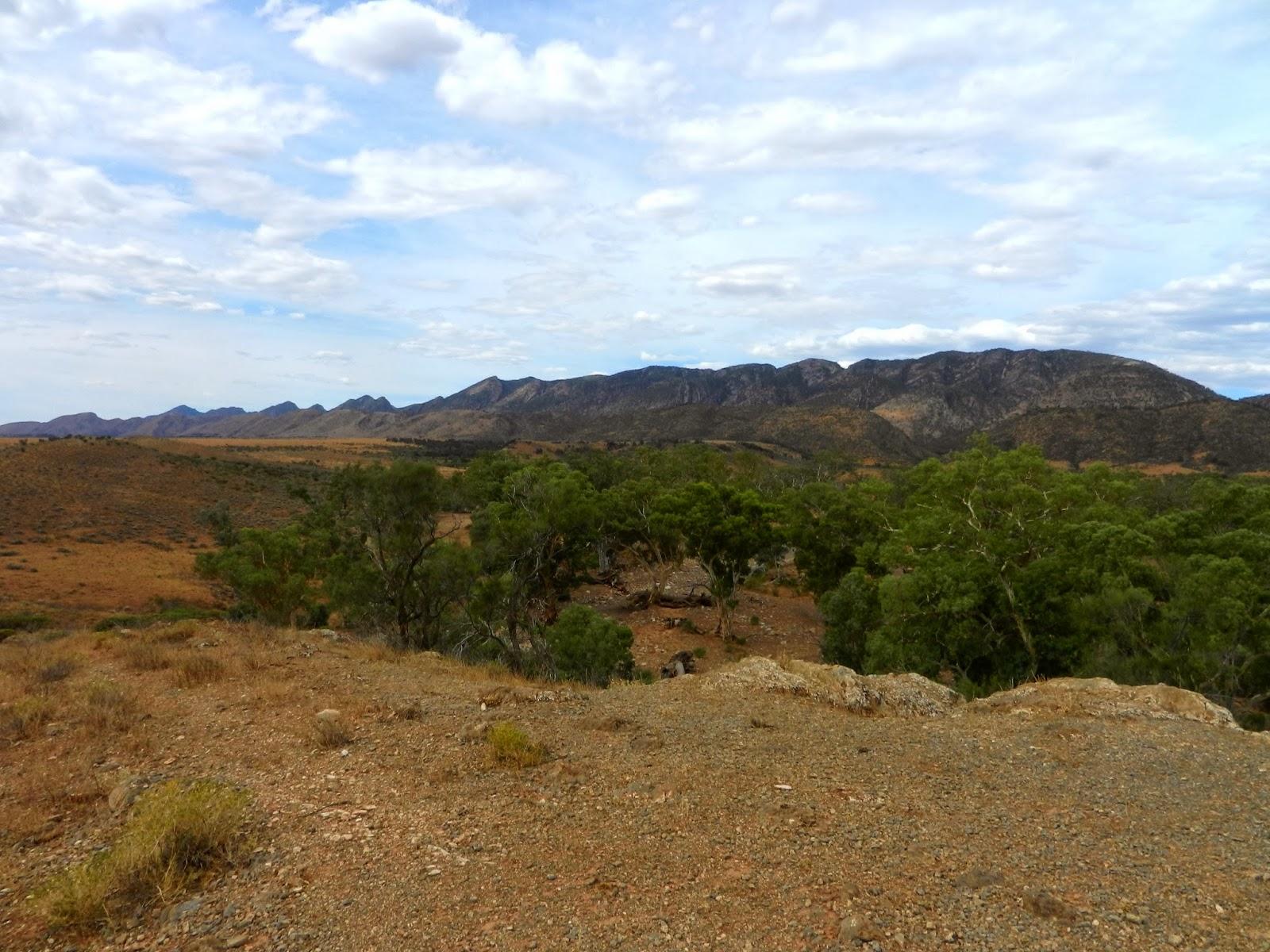 Un petit gout d'Australie contre un petit bout de paradis.