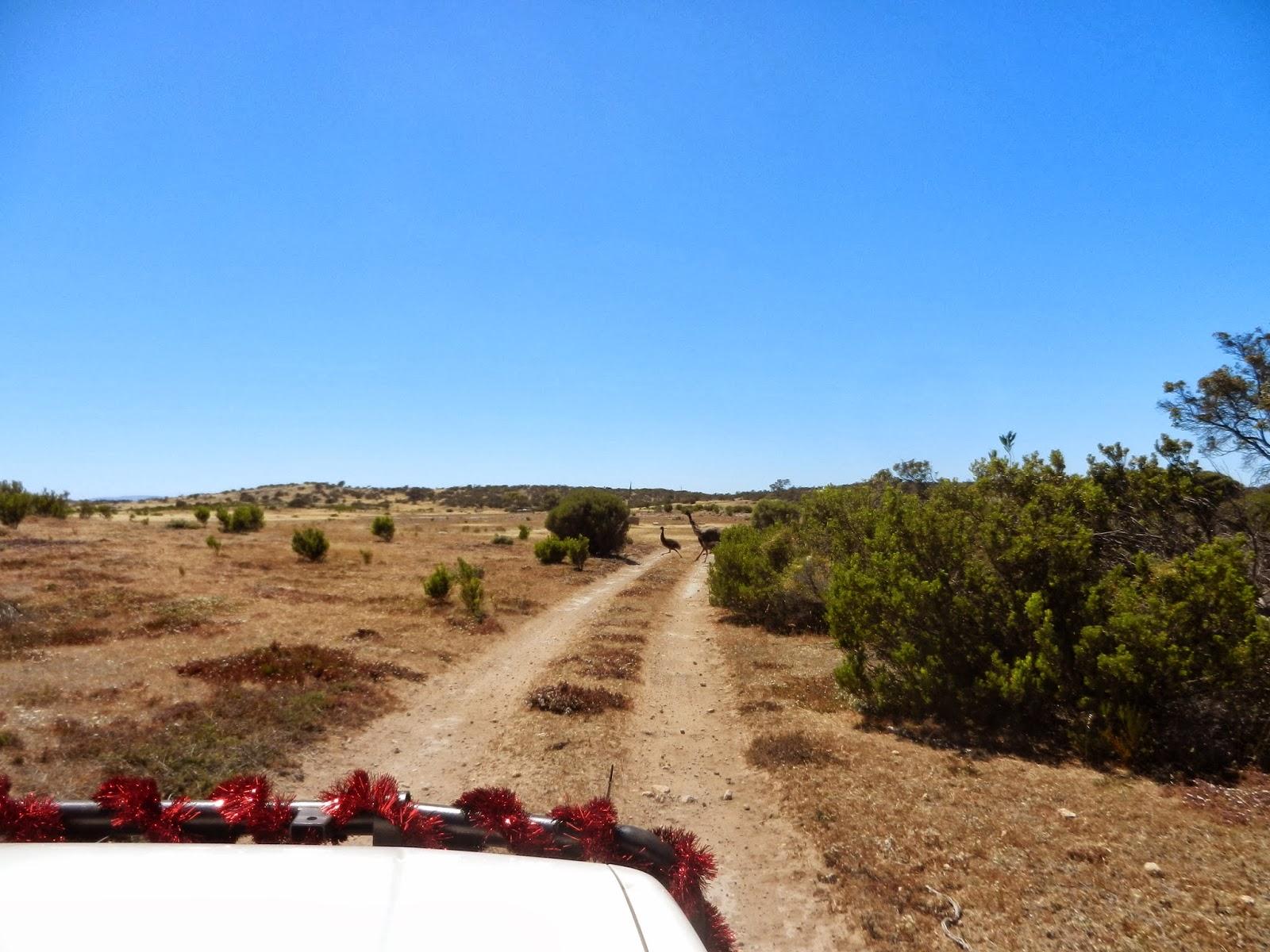 Un petit gout d'Australie contre un petit bout de paradis.