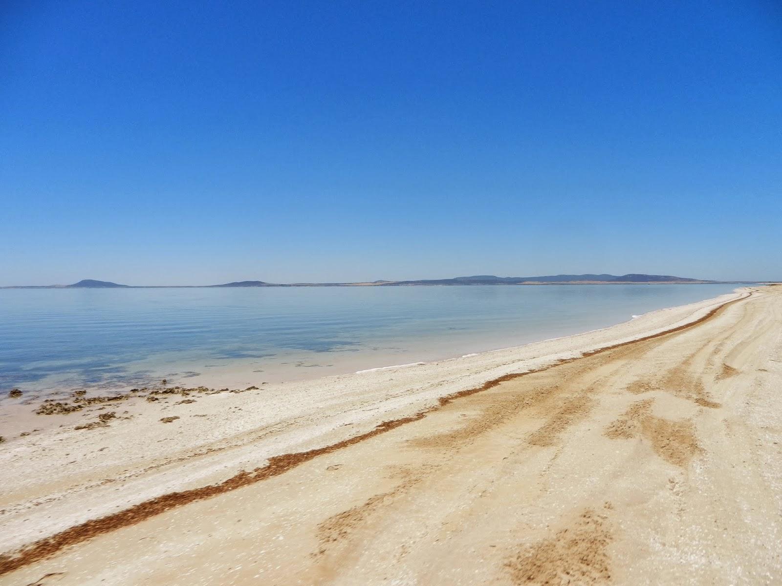 Un petit gout d'Australie contre un petit bout de paradis.