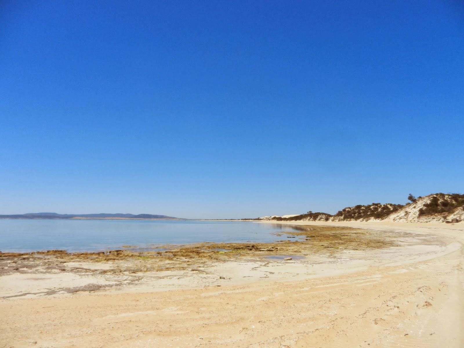 Un petit gout d'Australie contre un petit bout de paradis.