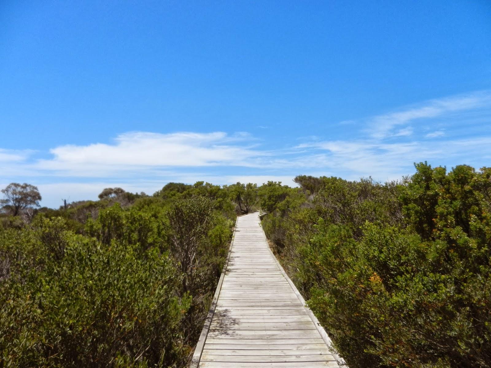 Un petit gout d'Australie contre un petit bout de paradis.